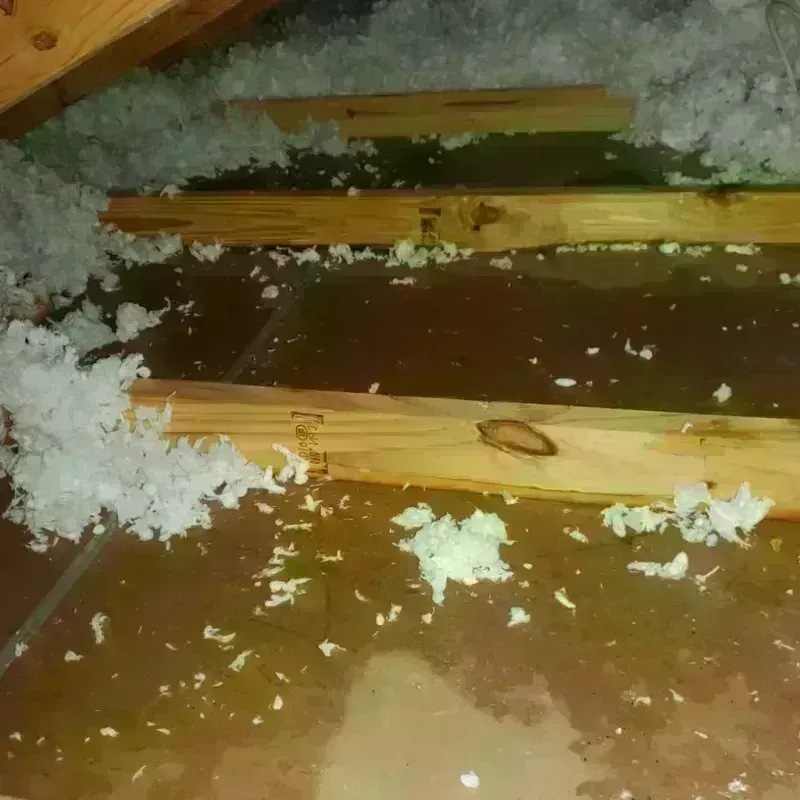 Attic Water Damage in Vineyard, UT